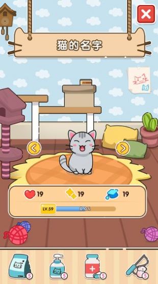 猫咪新家游戏官方版图片1
